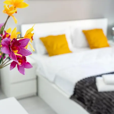 Skyline Sunset View -xcity Tower - By Openhouse * 티미쇼아라