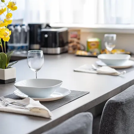 Skyline Sunset View -xcity Tower - By Openhouse Apartmán Temešvár