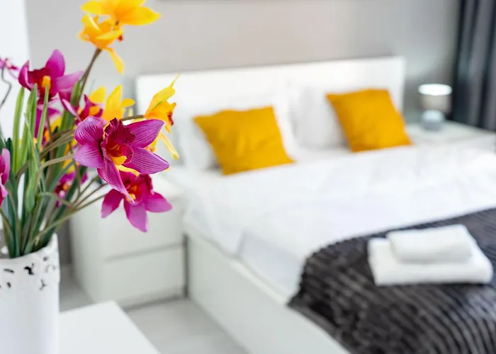 Skyline Sunset View -xcity Tower - By Openhouse * Timişoara